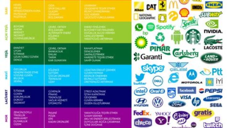Tabela Tasarımında Renklerin Etkisi ve Doğru Kullanımı